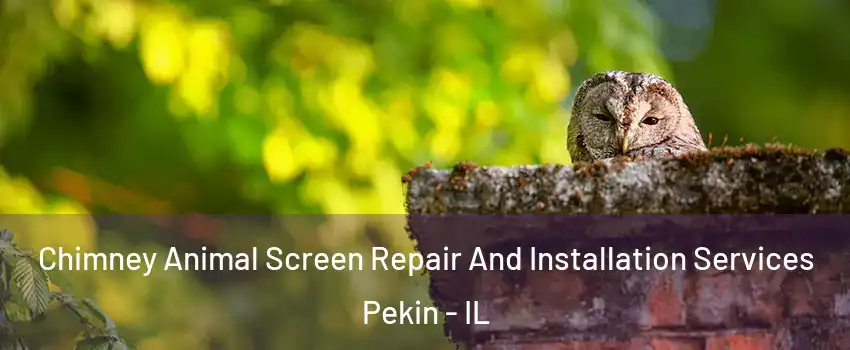  Chimney Animal Screen Repair And Installation Services Pekin - IL