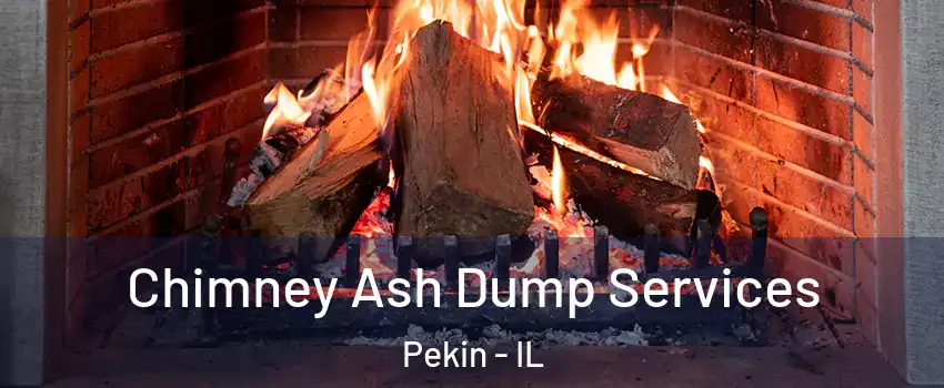  Chimney Ash Dump Services Pekin - IL