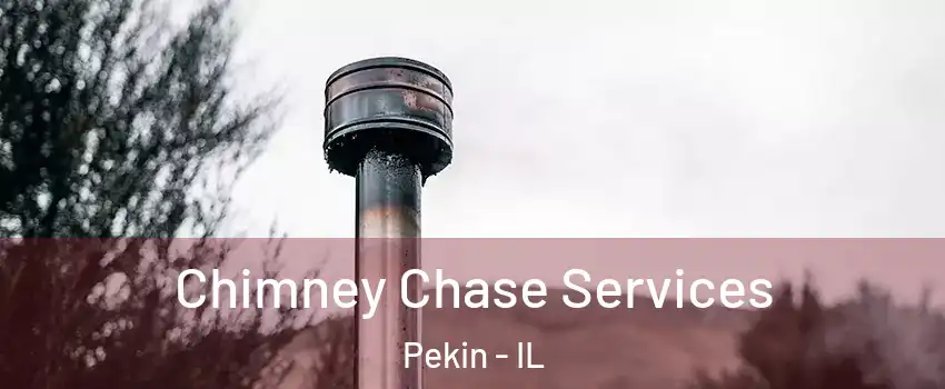  Chimney Chase Services Pekin - IL