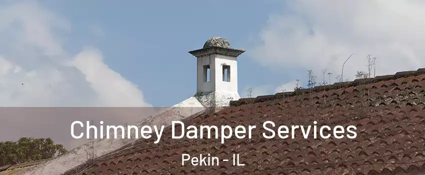  Chimney Damper Services Pekin - IL
