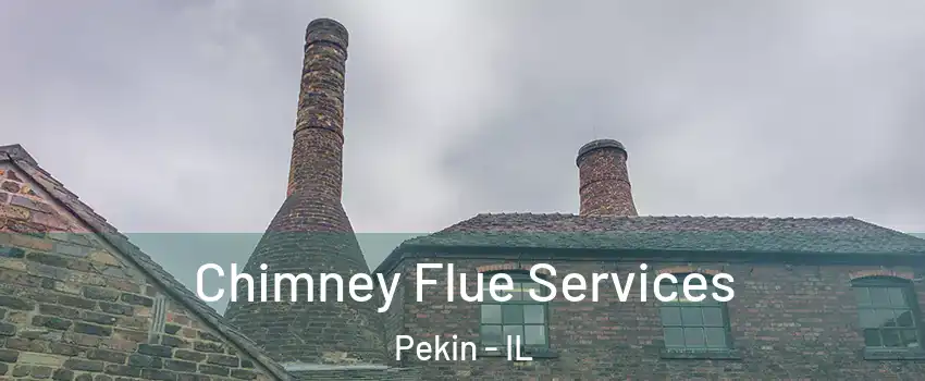  Chimney Flue Services Pekin - IL