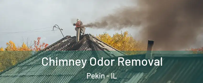  Chimney Odor Removal Pekin - IL