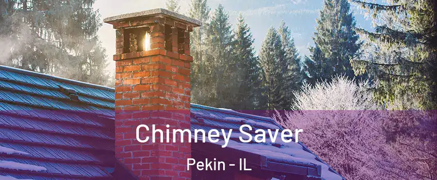  Chimney Saver Pekin - IL