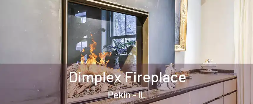  Dimplex Fireplace Pekin - IL