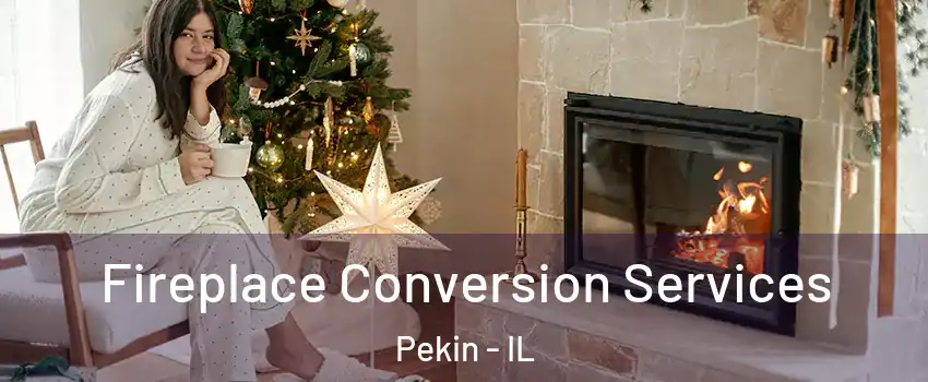  Fireplace Conversion Services Pekin - IL