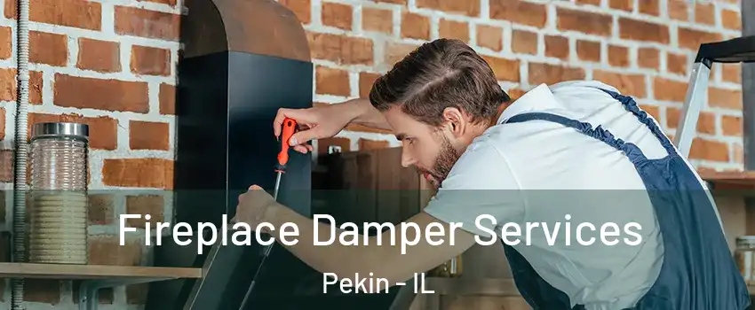  Fireplace Damper Services Pekin - IL
