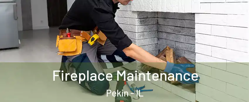  Fireplace Maintenance Pekin - IL