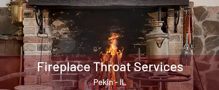  Fireplace Throat Services Pekin - IL