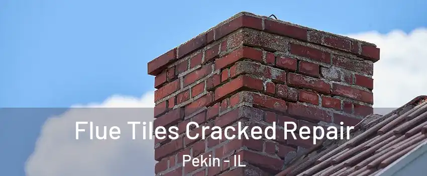  Flue Tiles Cracked Repair Pekin - IL