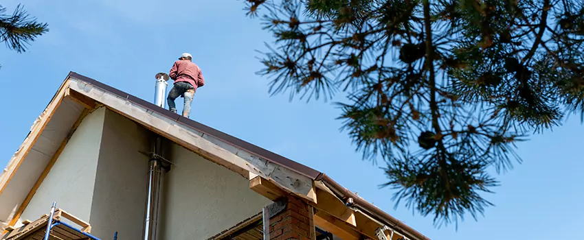 Birds Removal Contractors from Chimney in Pekin, IL