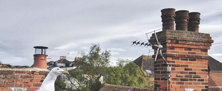 Chimney Cleaning And Restoration in Pekin, Illinois