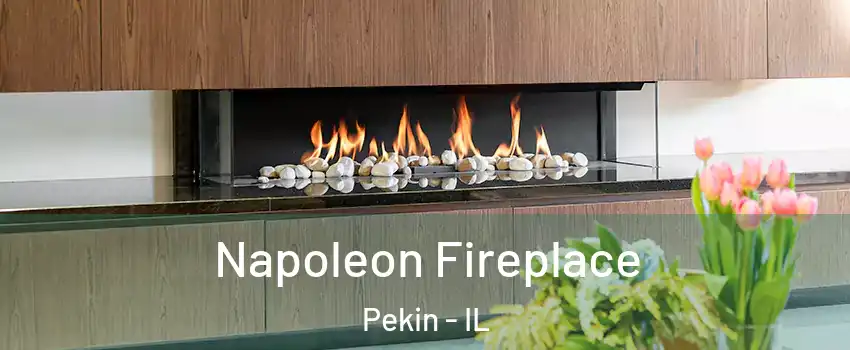  Napoleon Fireplace Pekin - IL