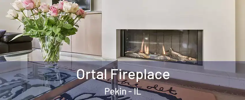 Ortal Fireplace Pekin - IL